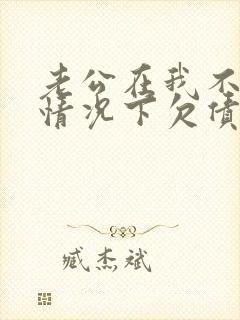 老公在我不知道情况下欠债怎么办