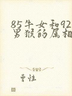 85牛女和92男猴的属相合不合