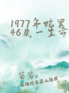 1977年蛇男46岁一生命运