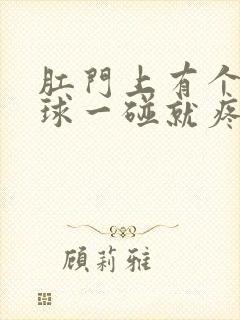 肛门上有个小肉球一碰就疼