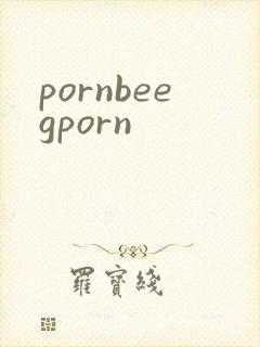 pornbeegporn