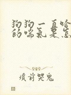 狗狗一直哈哈哈的喘气是怎么回事