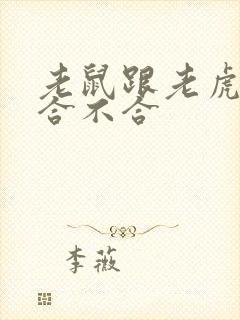 老鼠跟老虎属相合不合