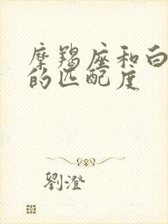 摩羯座和白羊座的匹配度