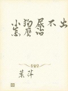 小狗尿不出来尿怎么治