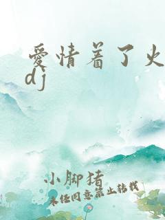 爱情着了火原唱dj