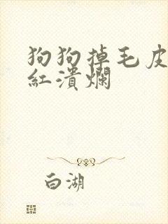 狗狗掉毛皮肤发红溃烂