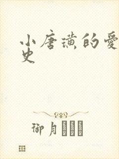 小唐璜的爱情历史