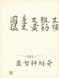 国产又粗又爽又猛又黄的视频