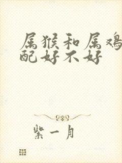 属猴和属鸡的婚配好不好