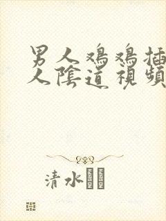 男人鸡鸡插进女人阴道视频