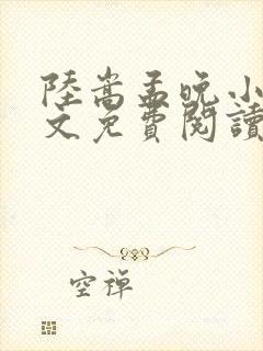 陆嵩孟晚小说全文免费阅读