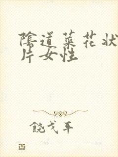 阴道菜花状疣图片女性