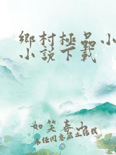 乡村极品小神医小说下载