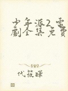 少年派2 电视剧全集免费观看