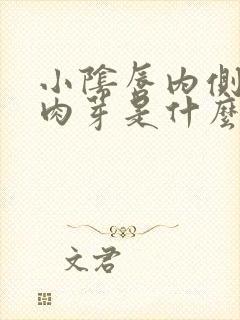 小阴唇内侧有小肉芽是什么情况