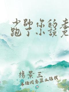 少帅你的老婆又跑了小说免费阅读