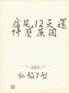 痛风12天还疼什么原因