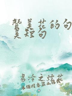 赞美花的句子唯美短句