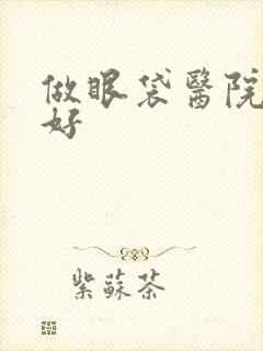 做眼袋医院哪家好