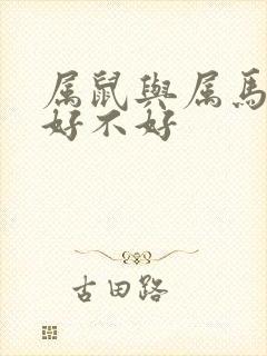 属鼠与属马婚配好不好