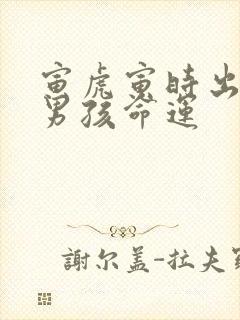 寅虎寅时出生的男孩命运