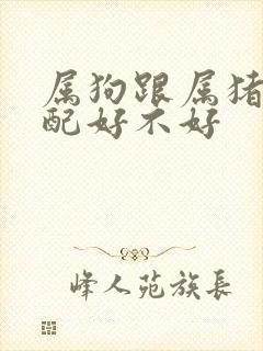 属狗跟属猪的婚配好不好