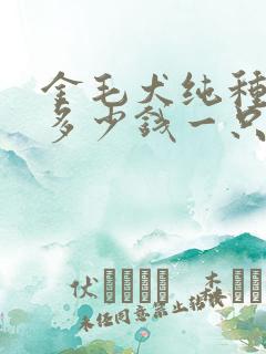 金毛犬纯种价格多少钱一只