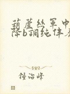 葫芦丝军中绿花降b调纯伴奏