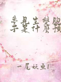 梦见生双胞胎儿子是什么预兆