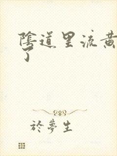 阴道里流黄水咋了