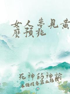 女人梦见黄马什么预兆