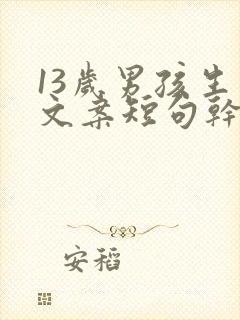 13岁男孩生日文案短句干净