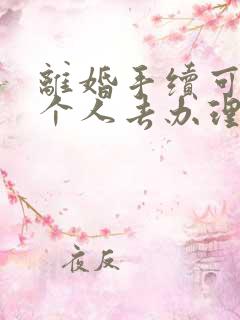 离婚手续可以一个人去办理吗