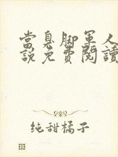 当臭脚军人的小说免费阅读