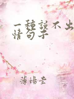 一种说不出的心情句子