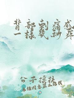 背部刺痛感针扎一样几秒疼一下