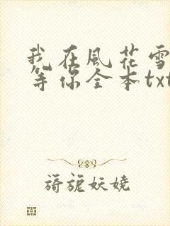 我在风花雪月里等你全本txt下载