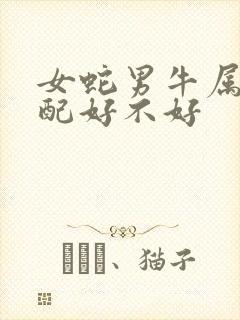 女蛇男牛属相婚配好不好