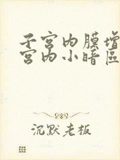 子宫内膜增厚伴宫内小暗区