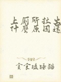 上厕所拉出血是什么原因还不疼