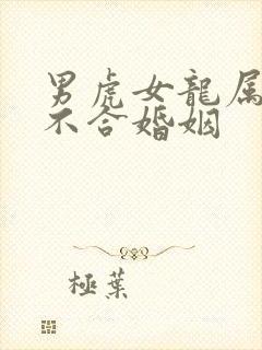 男虎女龙属相合不合婚姻