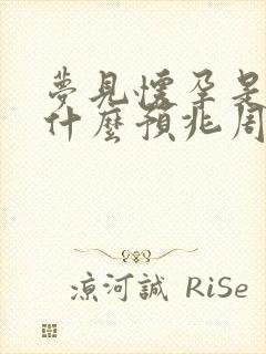 梦见怀孕是男孩什么预兆周公解梦