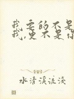 我要的不是你爱我,更不是你恨我是什么歌