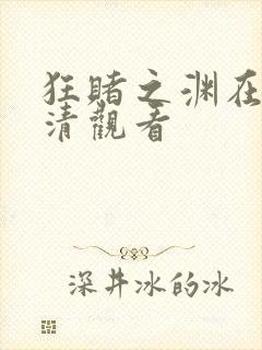 狂赌之渊在线高清观看