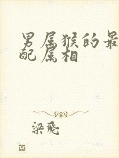 男属猴的最佳婚配属相