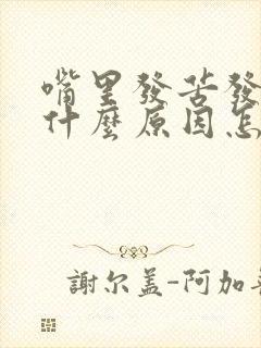 嘴里发苦发臭是什么原因怎么解决