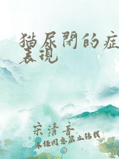 猫尿闭的症状和表现