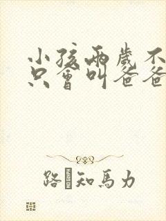 小孩两岁不说话只会叫爸爸妈妈