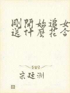 刚开始追女孩子送什么花合适